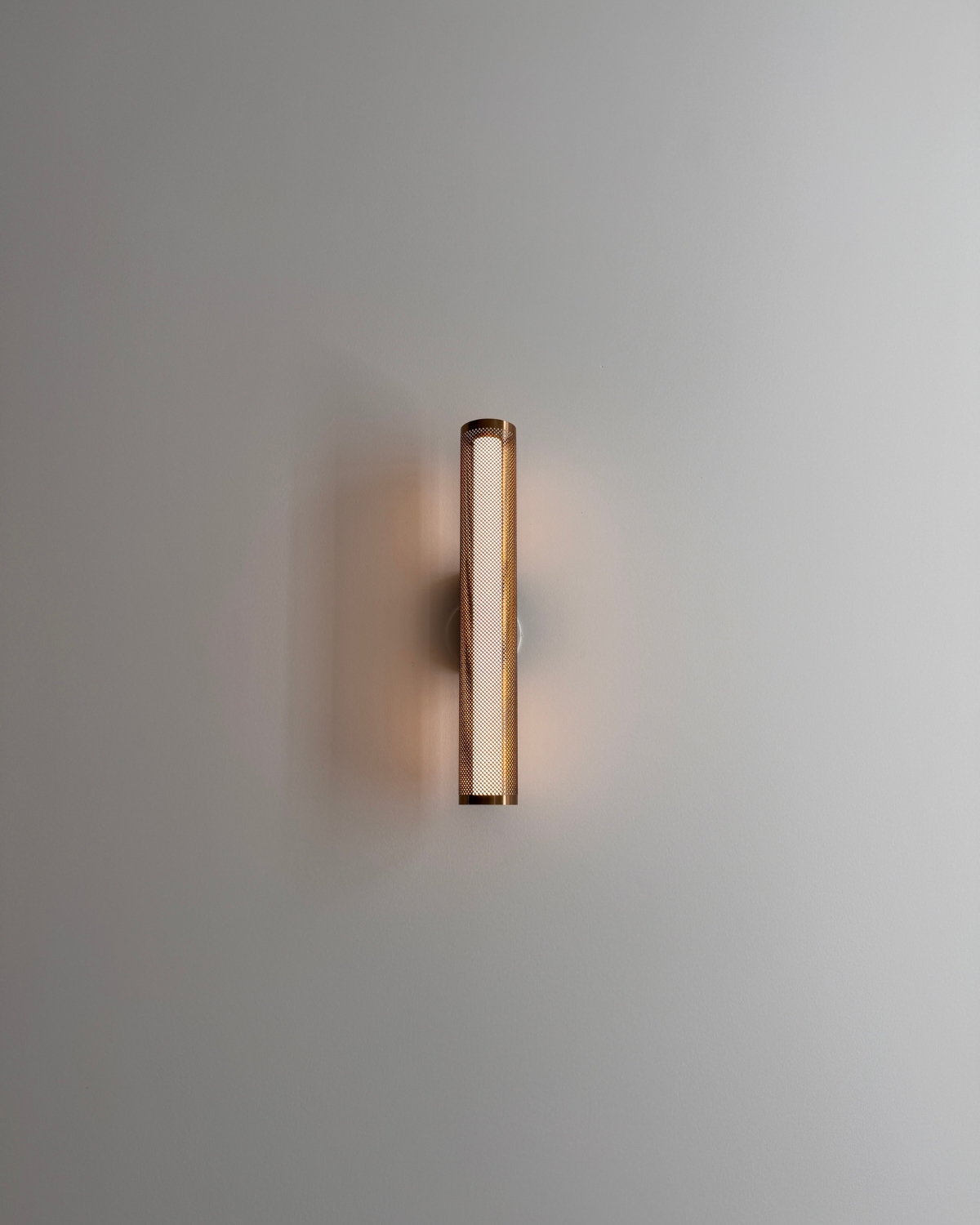 CAMELIA – Image 4